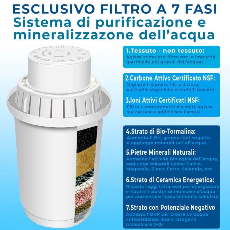 BWT Magnesium Mineralizer - Filtro d'acqua, 2 confezioni da 6 - Totale 12 pezzi